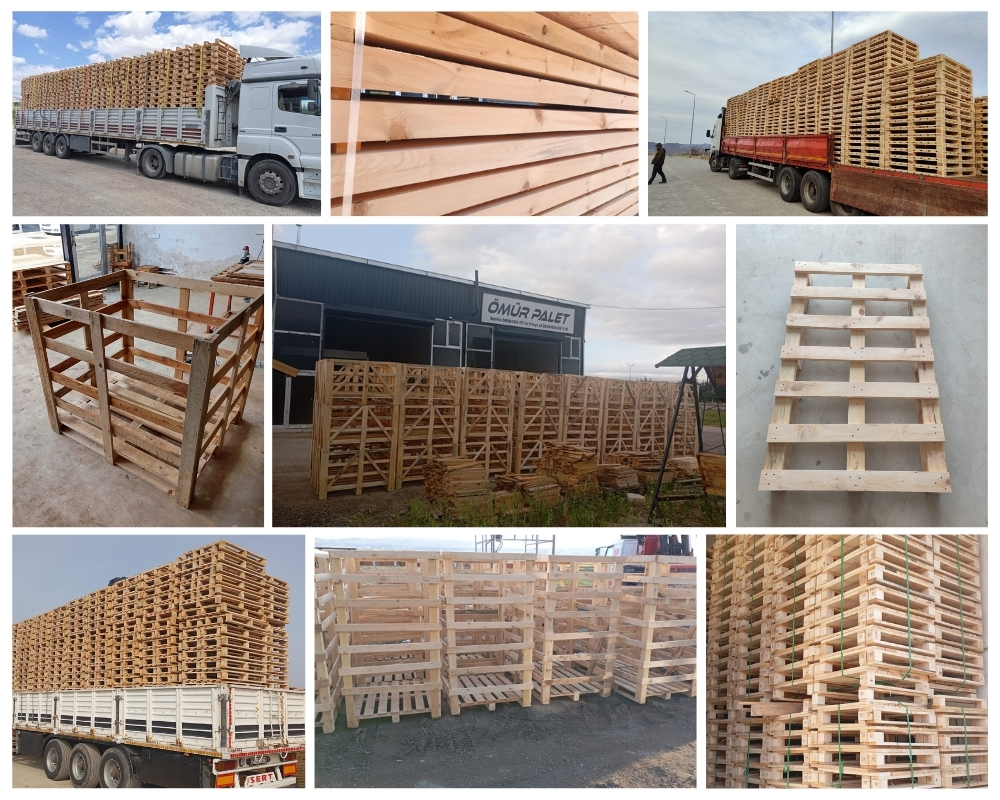Bergen op Zoom Houten Kisten, Europallets Groothandel Kopen
